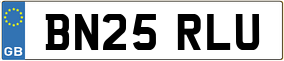 Truck License Plate